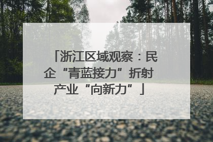 浙江区域观察：民企“青蓝接力”折射产业“向新力”