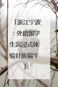 浙江宁波：外籍留学生沉浸式体验壮族端午