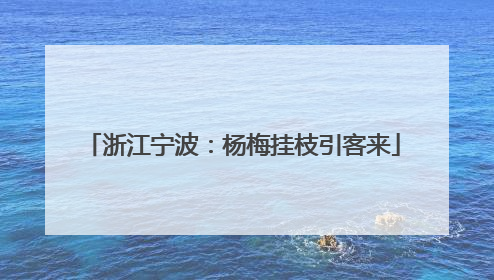 浙江宁波：杨梅挂枝引客来