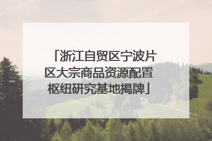 浙江自贸区宁波片区大宗商品资源配置枢纽研究基地揭牌