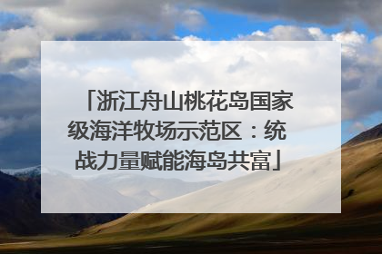 浙江舟山桃花岛国家级海洋牧场示范区：统战力量赋能海岛共富