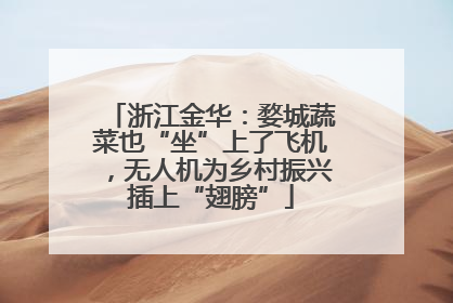 浙江金华：婺城蔬菜也“坐”上了飞机，无人机为乡村振兴插上“翅膀”