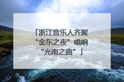 浙江音乐人齐聚“金东之夜”唱响“光南之曲”
