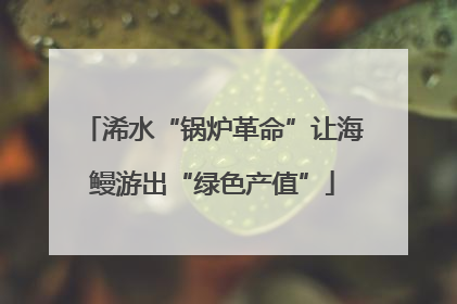 浠水“锅炉革命”让海鳗游出“绿色产值”