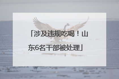 涉及违规吃喝！山东6名干部被处理