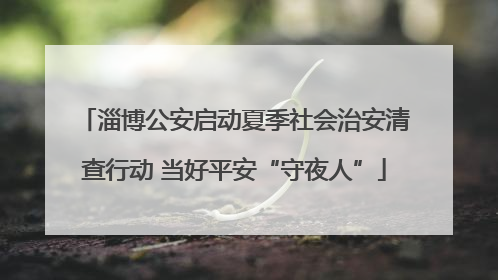 淄博公安启动夏季社会治安清查行动 当好平安“守夜人”