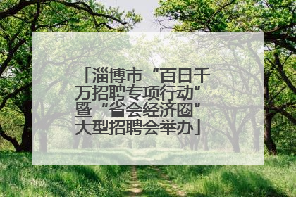 淄博市“百日千万招聘专项行动”暨“省会经济圈”大型招聘会举办