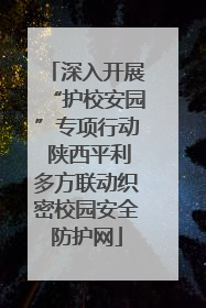 深入开展“护校安园”专项行动 陕西平利多方联动织密校园安全防护网