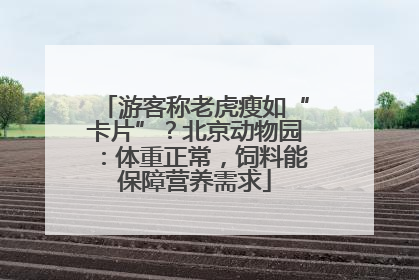 游客称老虎瘦如“卡片”？北京动物园：体重正常，饲料能保障营养需求