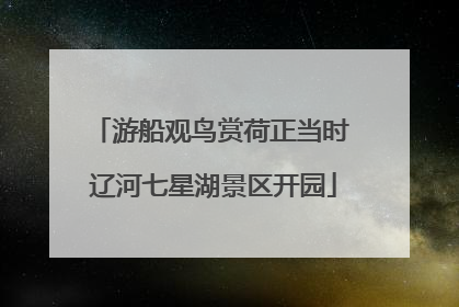 游船观鸟赏荷正当时 辽河七星湖景区开园