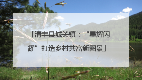 清丰县城关镇：“星辉闪耀”打造乡村共富新图景
