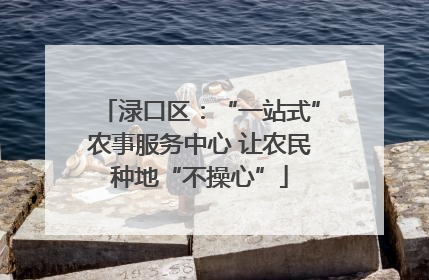 渌口区：“一站式”农事服务中心 让农民种地“不操心”