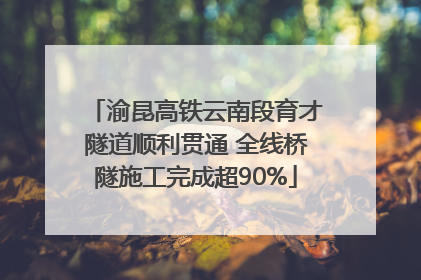 渝昆高铁云南段育才隧道顺利贯通 全线桥隧施工完成超90%