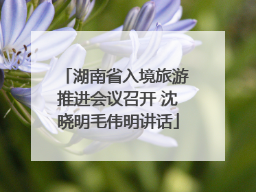 湖南省入境旅游推进会议召开 沈晓明毛伟明讲话