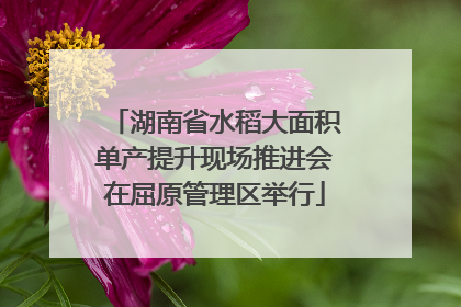 湖南省水稻大面积单产提升现场推进会在屈原管理区举行