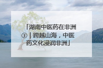 湖南中医药在非洲③｜跨越山海，中医药文化浸润非洲