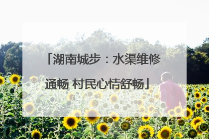 湖南城步：水渠维修通畅 村民心情舒畅
