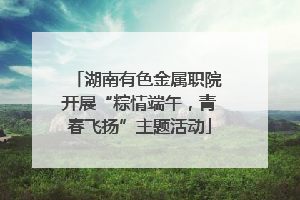 湖南有色金属职院开展“粽情端午，青春飞扬”主题活动