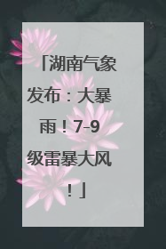 湖南气象发布：大暴雨！7-9级雷暴大风！