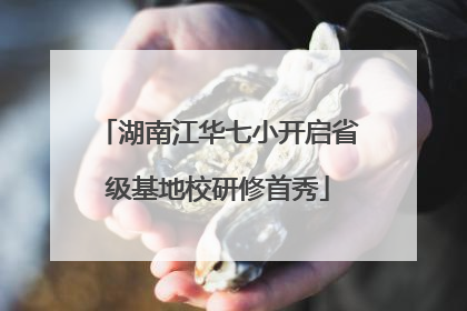 湖南江华七小开启省级基地校研修首秀