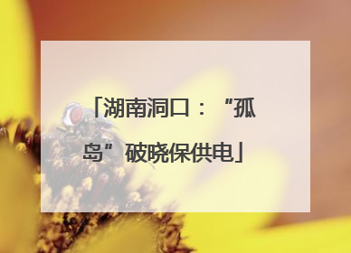 湖南洞口：“孤岛”破晓保供电