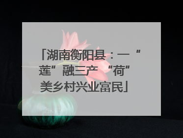 湖南衡阳县：一“莲”融三产 “荷”美乡村兴业富民