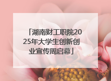 湖南财工职院2025年大学生创新创业宣传周启幕