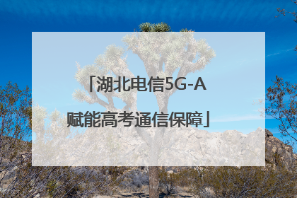 湖北电信5G-A赋能高考通信保障
