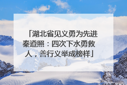 湖北省见义勇为先进秦遵照：四次下水勇救人，善行义举成榜样
