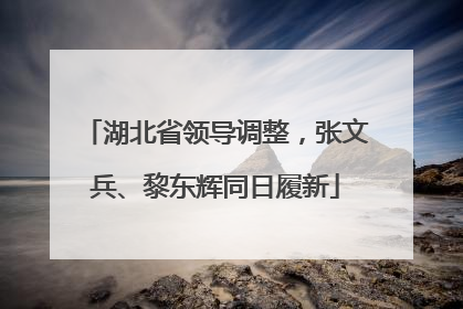 湖北省领导调整，张文兵、黎东辉同日履新