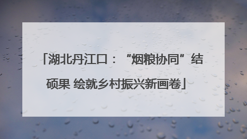 湖北丹江口：“烟粮协同”结硕果 绘就乡村振兴新画卷