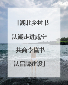湖北乡村书法潮走进咸宁 共商李邕书法品牌建设