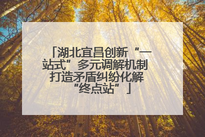 湖北宜昌创新“一站式”多元调解机制 打造矛盾纠纷化解“终点站”