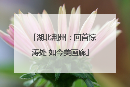 湖北荆州：回首惊涛处 如今美画廊