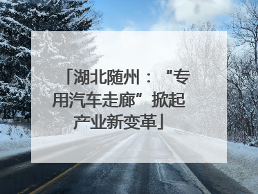 湖北随州：“专用汽车走廊”掀起产业新变革