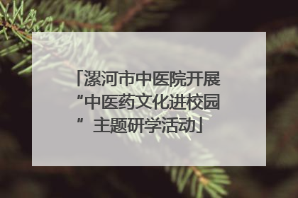 漯河市中医院开展“中医药文化进校园”主题研学活动