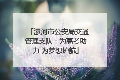 漯河市公安局交通管理支队：为高考助力 为梦想护航