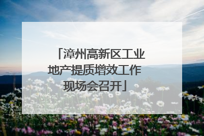 漳州高新区工业地产提质增效工作现场会召开