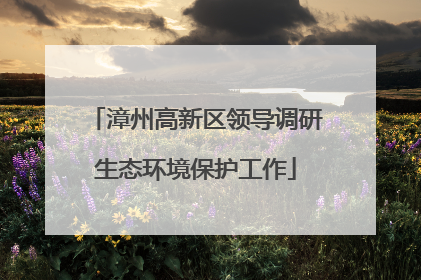 漳州高新区领导调研生态环境保护工作