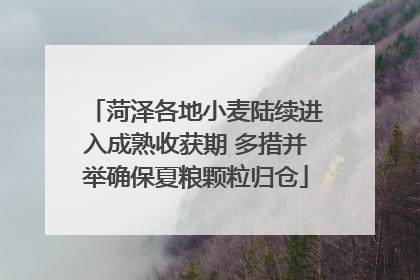 菏泽各地小麦陆续进入成熟收获期 多措并举确保夏粮颗粒归仓
