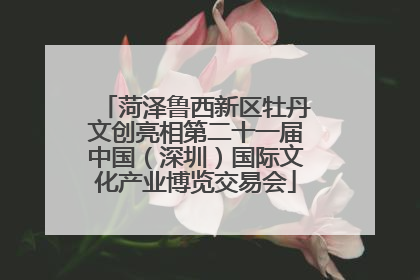 菏泽鲁西新区牡丹文创亮相第二十一届中国（深圳）国际文化产业博览交易会