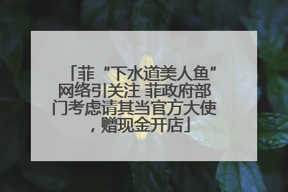 菲“下水道美人鱼”网络引关注 菲政府部门考虑请其当官方大使，赠现金开店