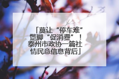 莫让“停车难”蹩脚“促消费”！泰州市政协一篇社情民意信息背后