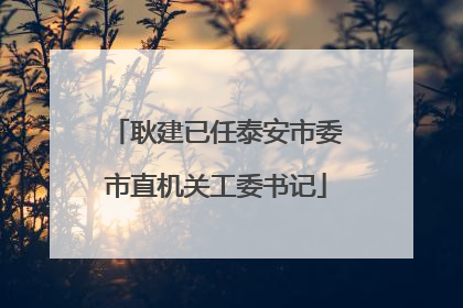 耿建已任泰安市委市直机关工委书记