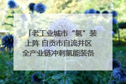 老工业城市“氢”装上阵 自贡市自流井区全产业链冲刺氢能装备制造新高地｜美好生活有“盐”味