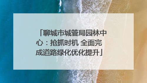 聊城市城管局园林中心：抢抓时机 全面完成道路绿化优化提升