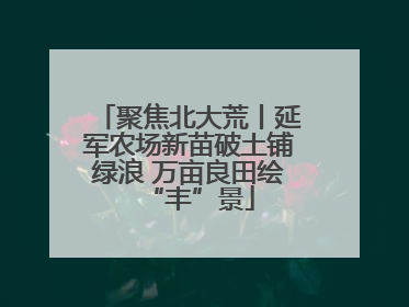 聚焦北大荒丨延军农场新苗破土铺绿浪 万亩良田绘“丰”景