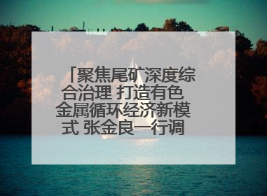 聚焦尾矿深度综合治理 打造有色金属循环经济新模式 张金良一行调研栾川县尾矿库综合治理工作