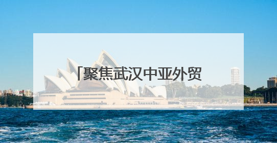 聚焦武汉中亚外贸新通道│中亚班列开辟双通道 哈萨克斯坦饲用小麦将抵鄂
