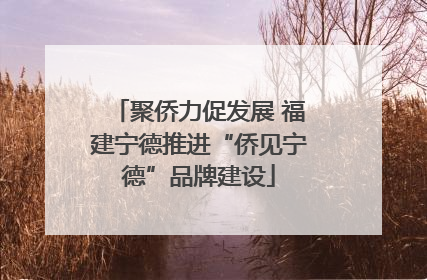 聚侨力促发展 福建宁德推进“侨见宁德”品牌建设